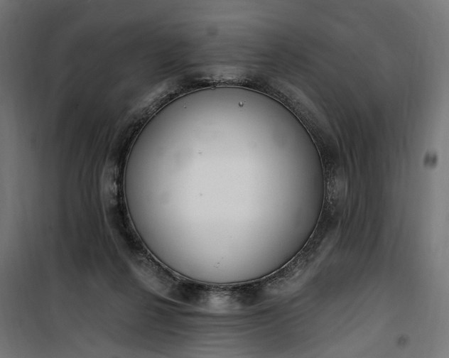 X0000100500264200806201722