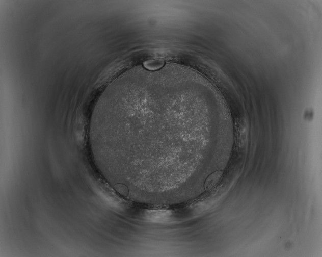 X0000100500266200806201722