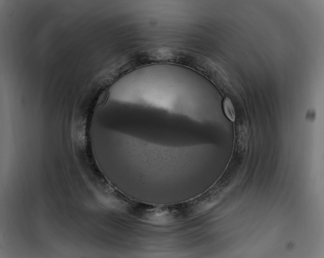 X0000100500267200806201722