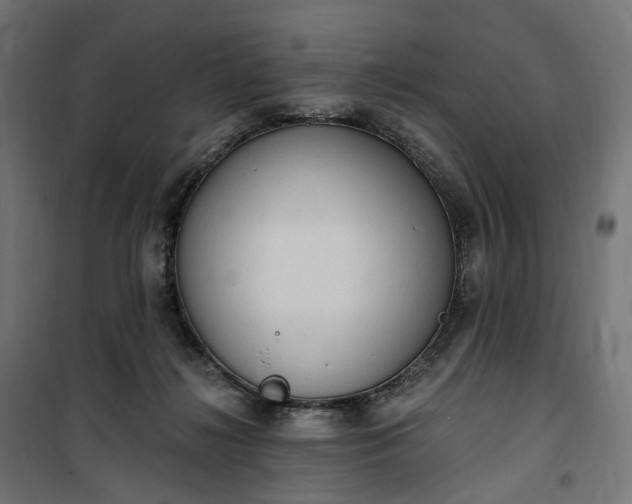 X0000100500268200806201722