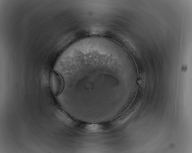 X0000100500269200806201722