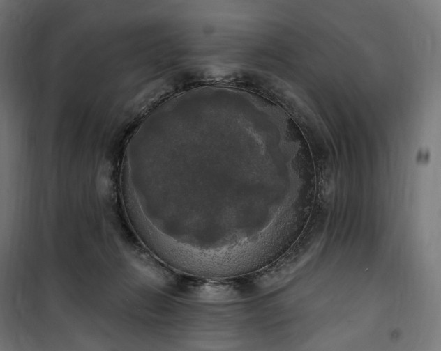 X0000100500270200806201722