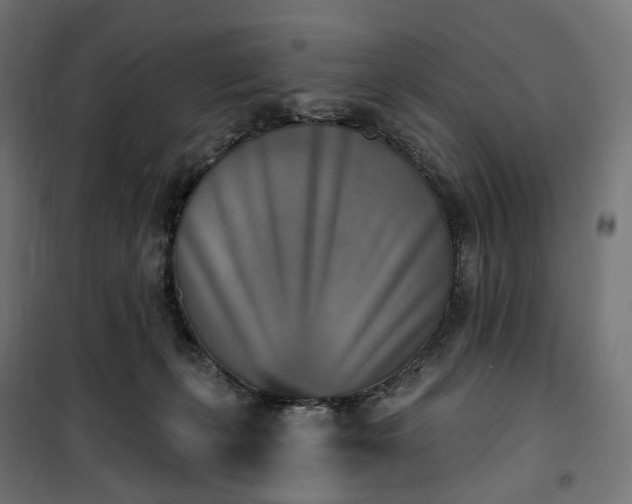 X0000100500271200806201722