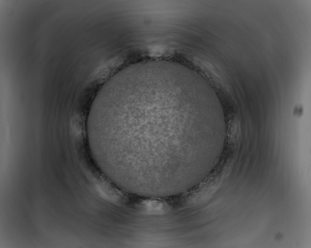 X0000100500272200806201722