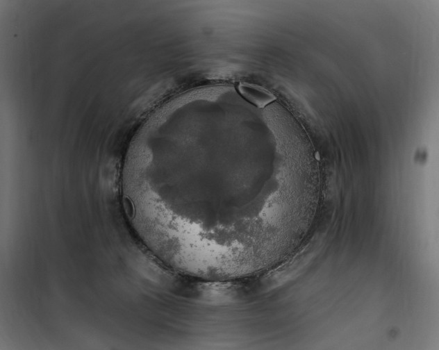 X0000100500273200806201722