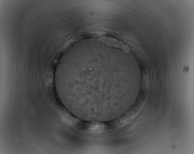 X0000100500274200806201722