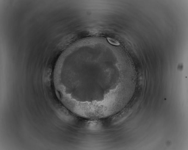 X0000100500275200806201722