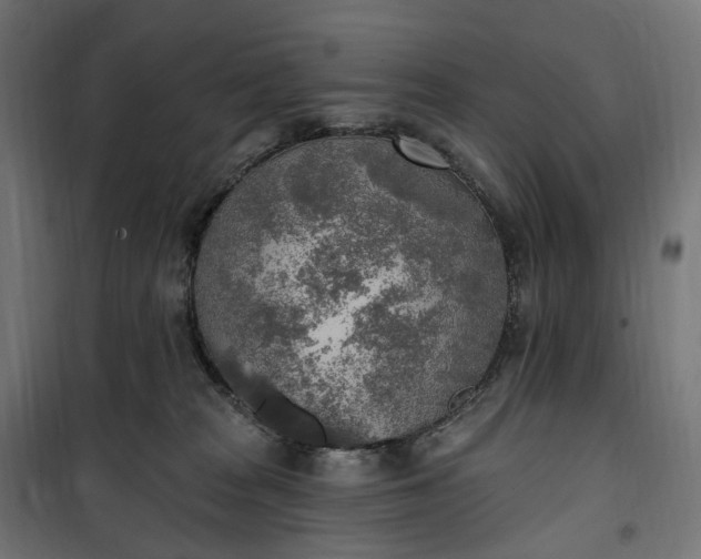 X0000100500277200806201722