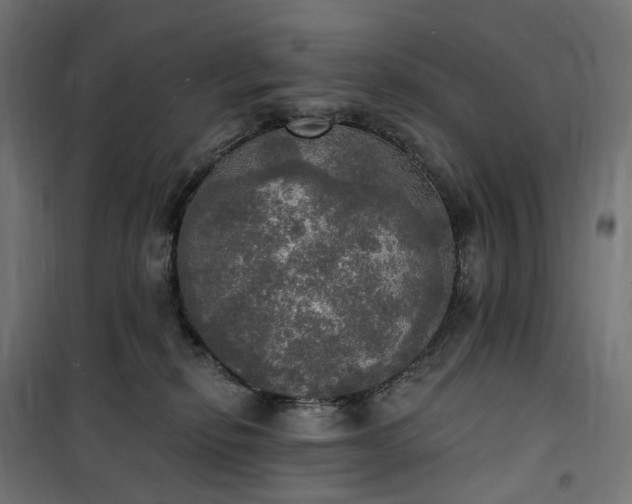 X0000100500278200806201722