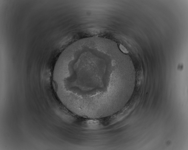 X0000100500279200806201722