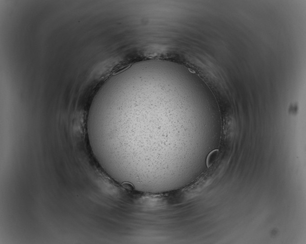 X0000100500280200806201722