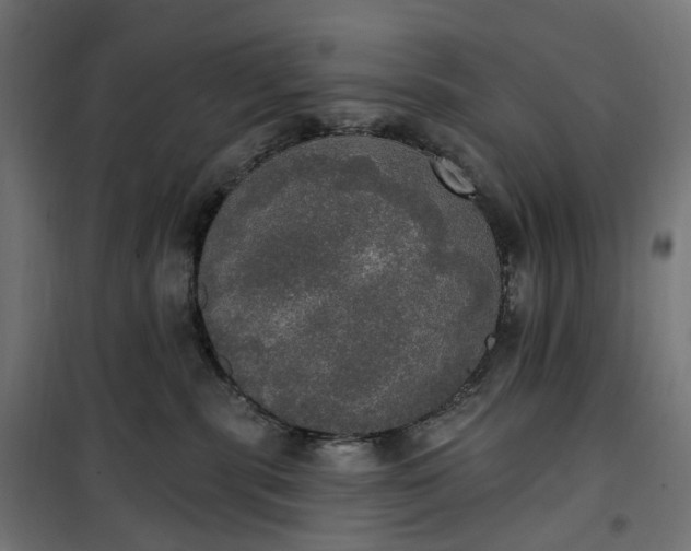 X0000100500283200806201722