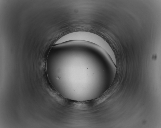 X0000100500284200806201722