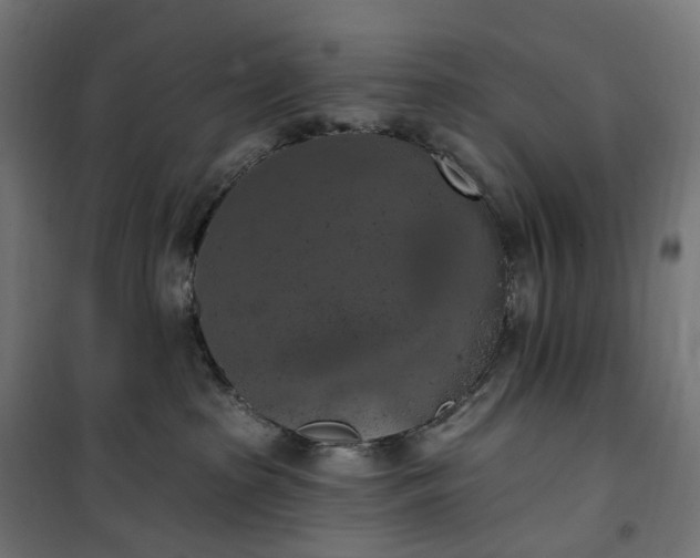 X0000100500285200806201722