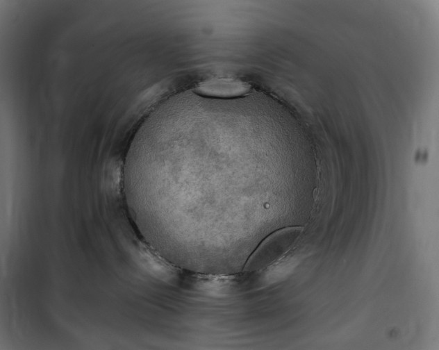 X0000100500288200806201722