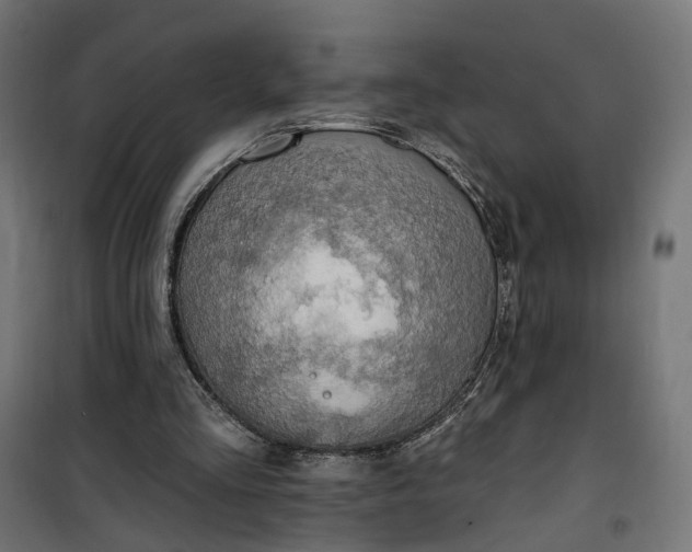 X0000100500293200806201721