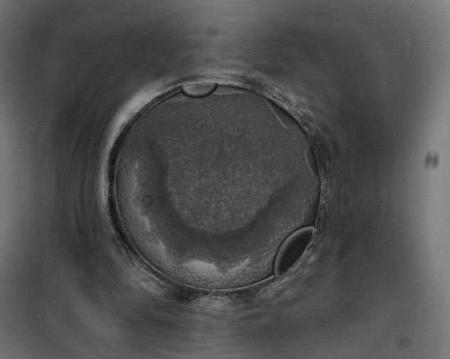 X0000100500294200806201721