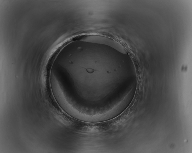 X0000100500295200806201721