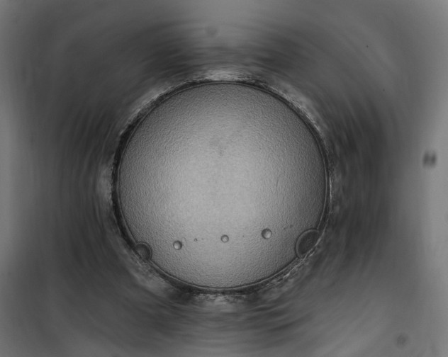 X0000100500297200806201721