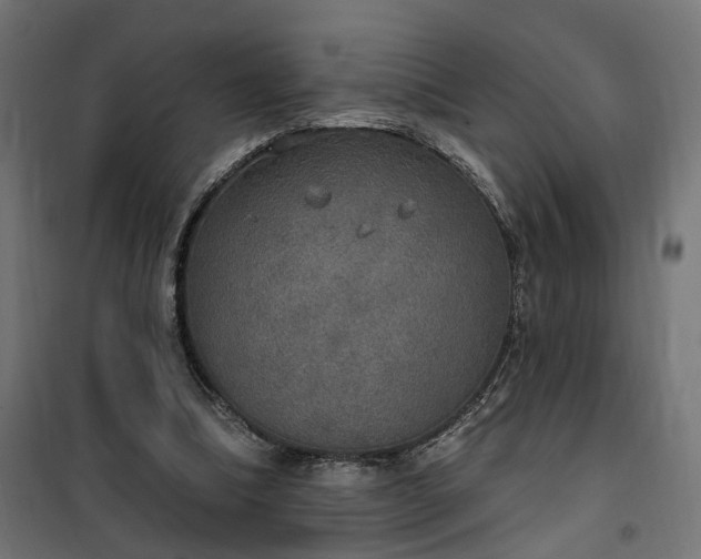 X0000100500298200806201721