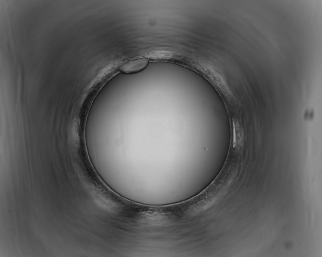 X0000100500300200806201721