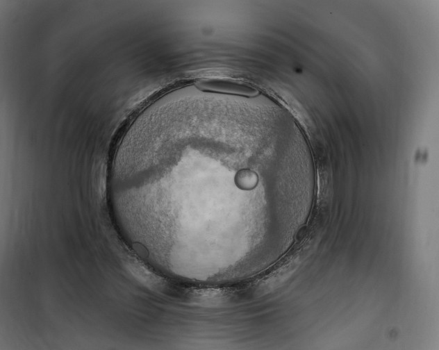 X0000100500301200806201721