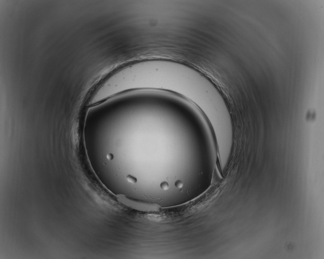 X0000100500302200806201721