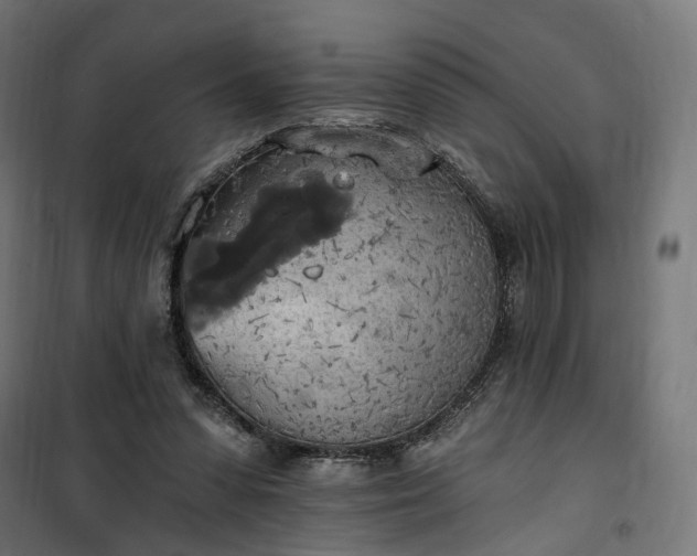 X0000100500303200806201721