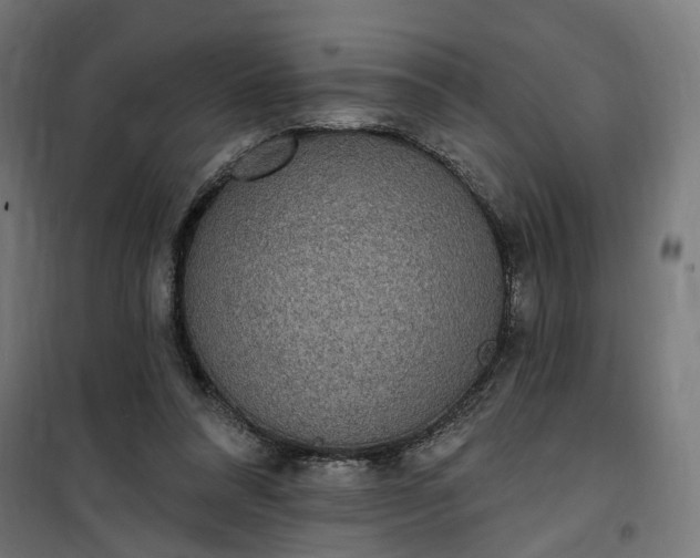 X0000100500304200806201721