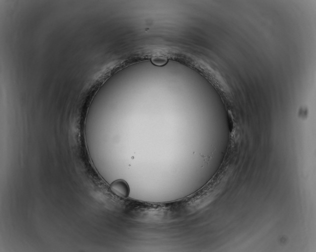 X0000100500306200806201721