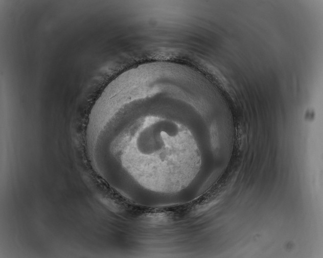 X0000100500307200806201721