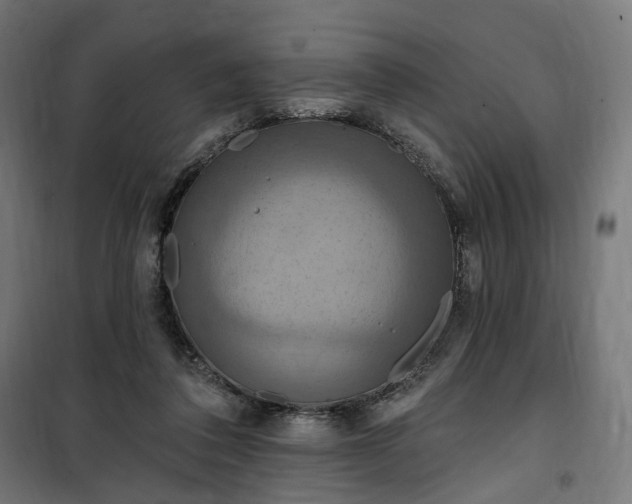 X0000100500308200806201721