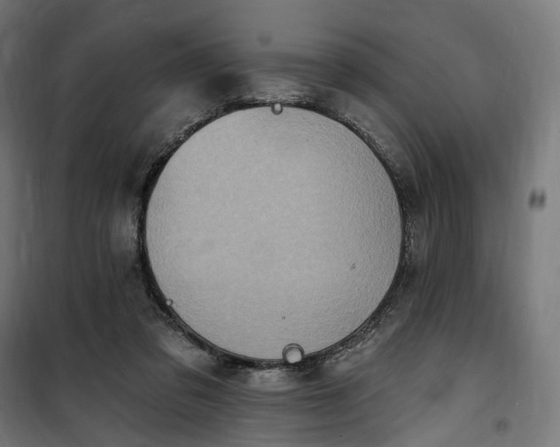 X0000100500309200806201721