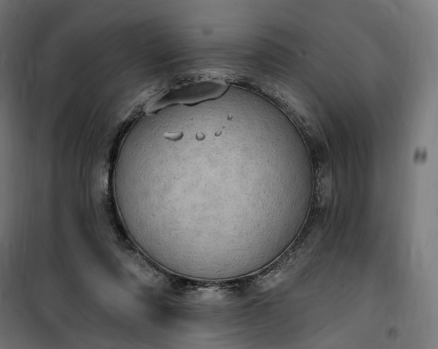 X0000100500310200806201721