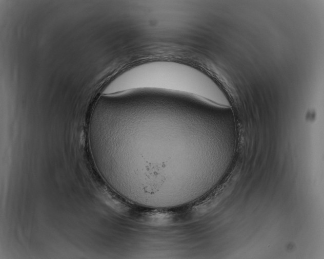 X0000100500313200806201721