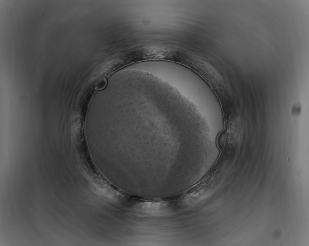 X0000100500314200806201721