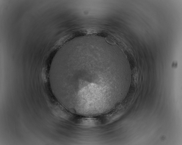 X0000100500316200806201721