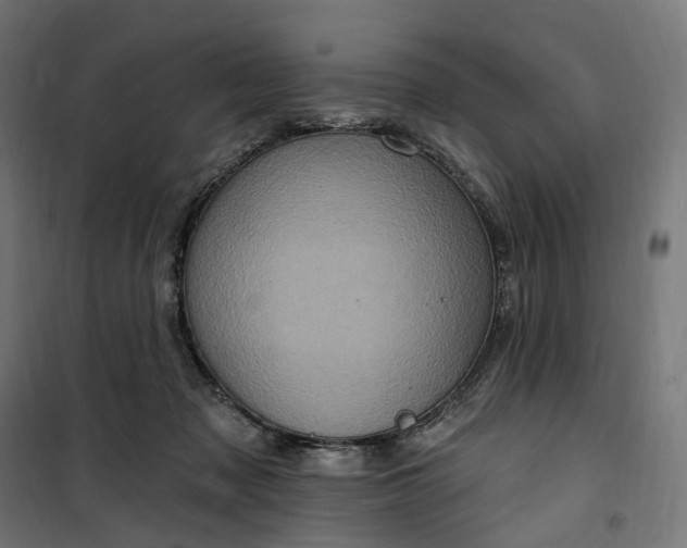 X0000100500317200806201721