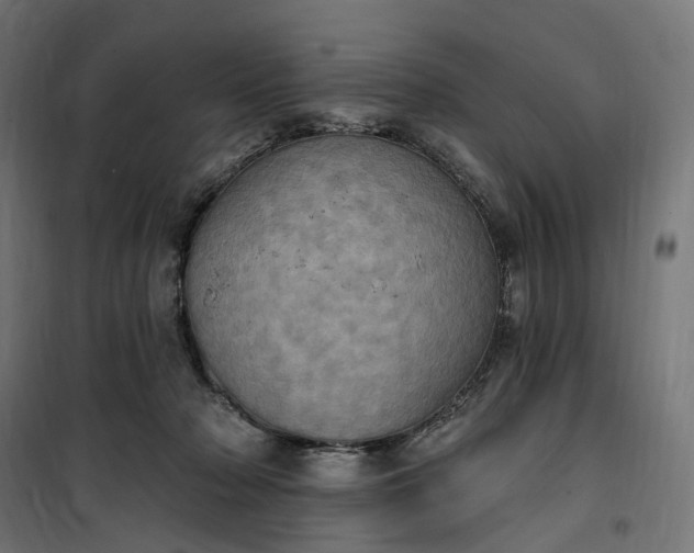 X0000100500318200806201721