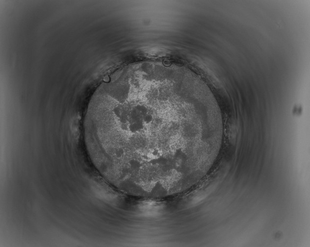 X0000100500319200806201721