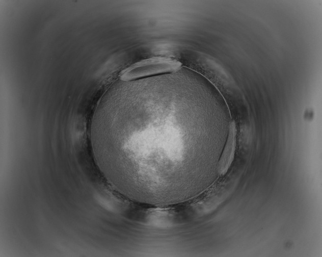 X0000100500320200806201721