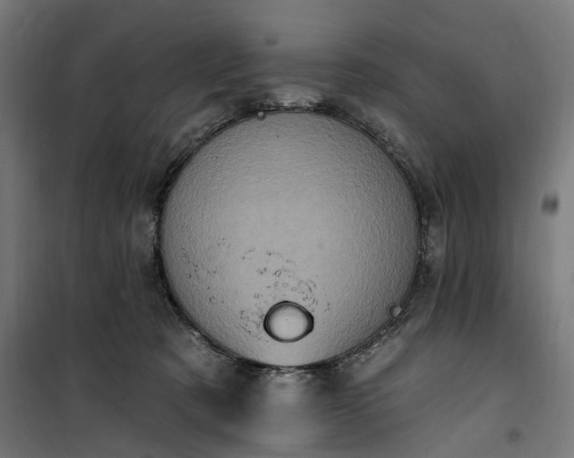 X0000100500321200806201721