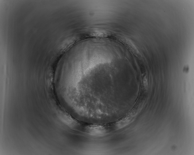 X0000100500322200806201721