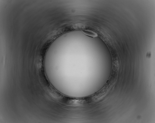 X0000100500323200806201720