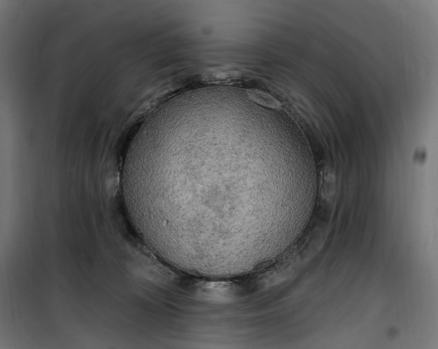 X0000100500324200806201720