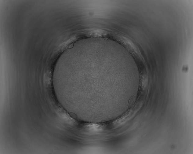 X0000100500326200806201720