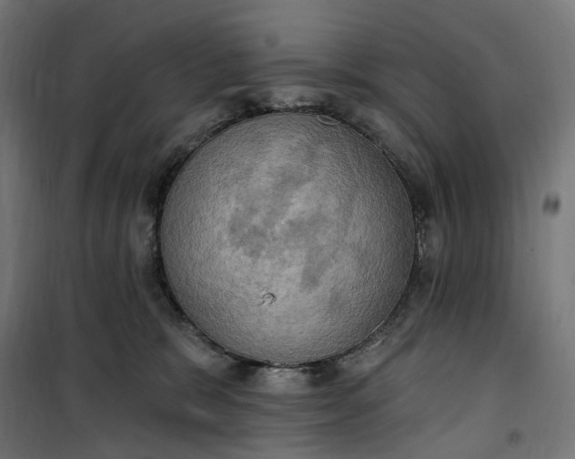 X0000100500327200806201720