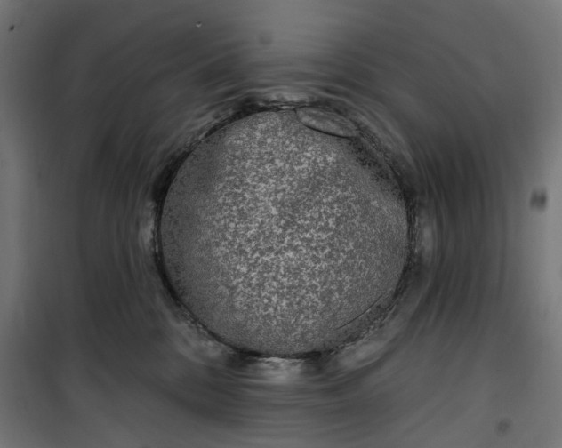 X0000100500328200806201720