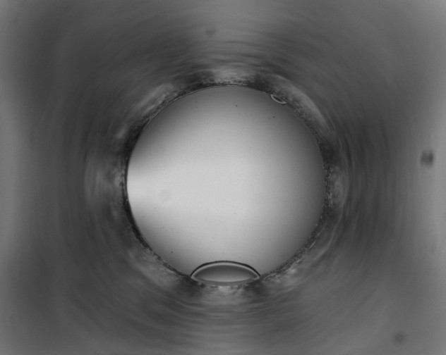 X0000100500329200806201720