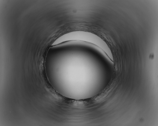 X0000100500332200806201720